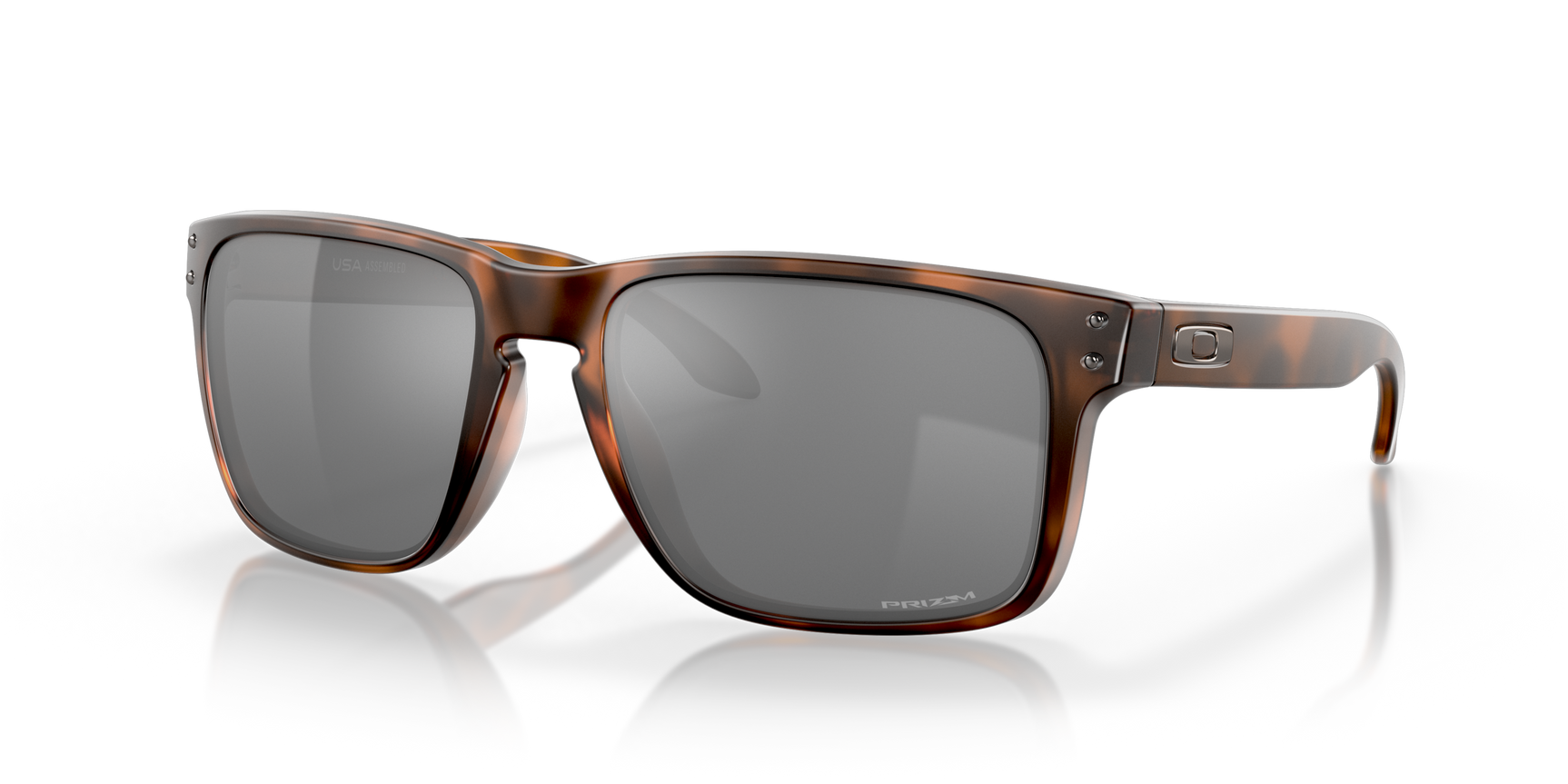 Oakley Holbrook XL