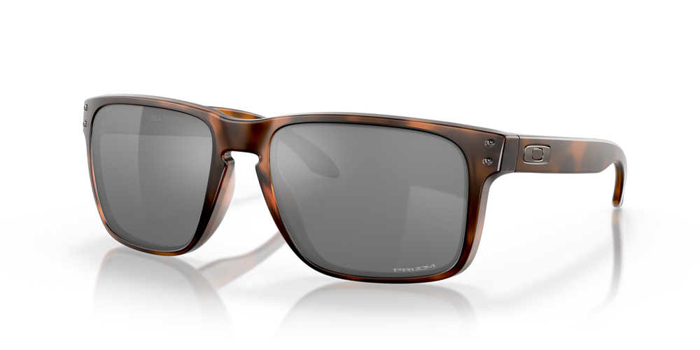 Oakley Holbrook XL