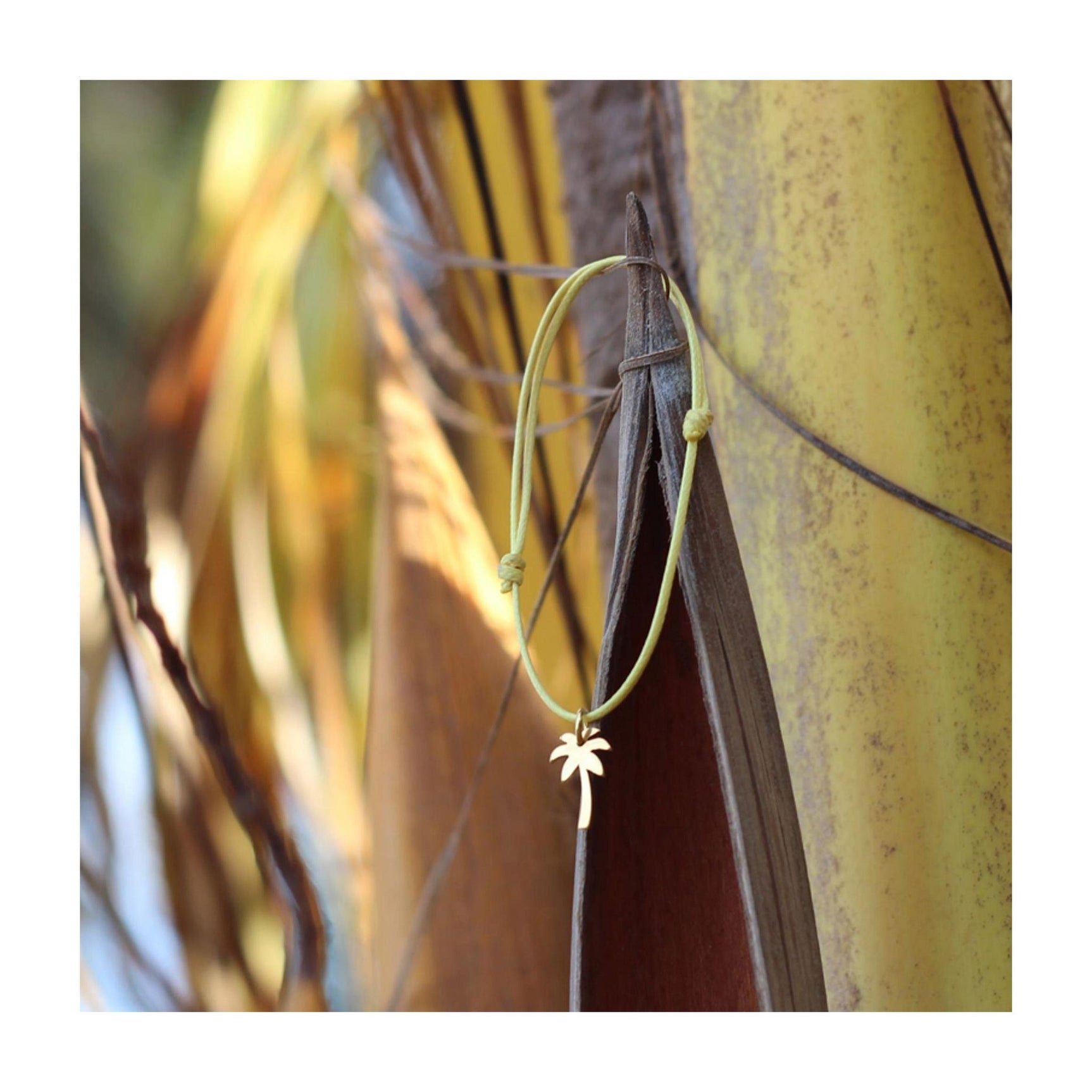 Silver+Surf silver jewelry palm tree