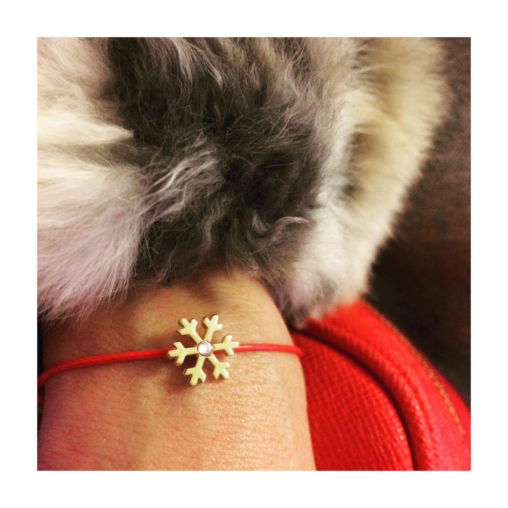 Silver+Surf Silber Schmuck Schnee Kristall