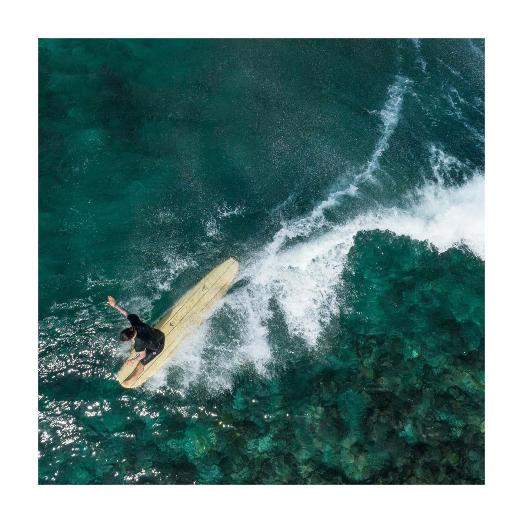 Surfboard TORQ TEC Delpero Classic