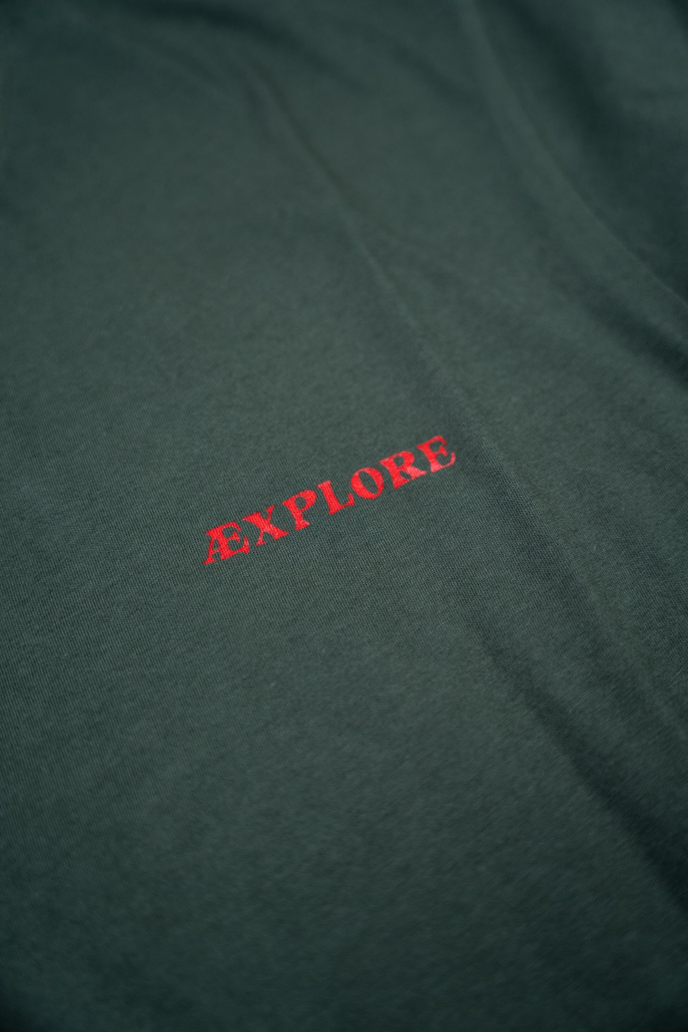 Lakor Bear Burrito T-shirt Green Gables 3