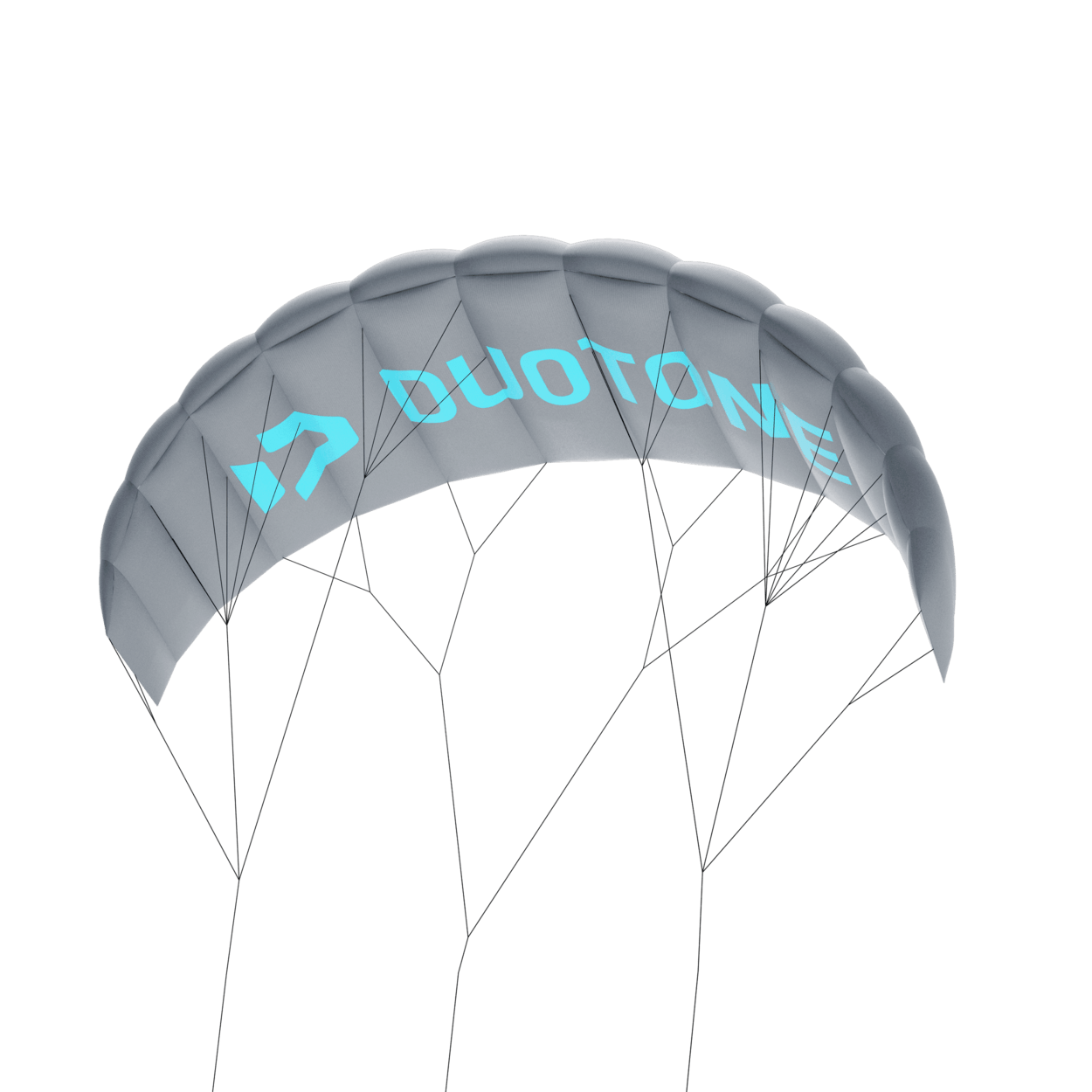 Duotone Trainer Lizard 2026