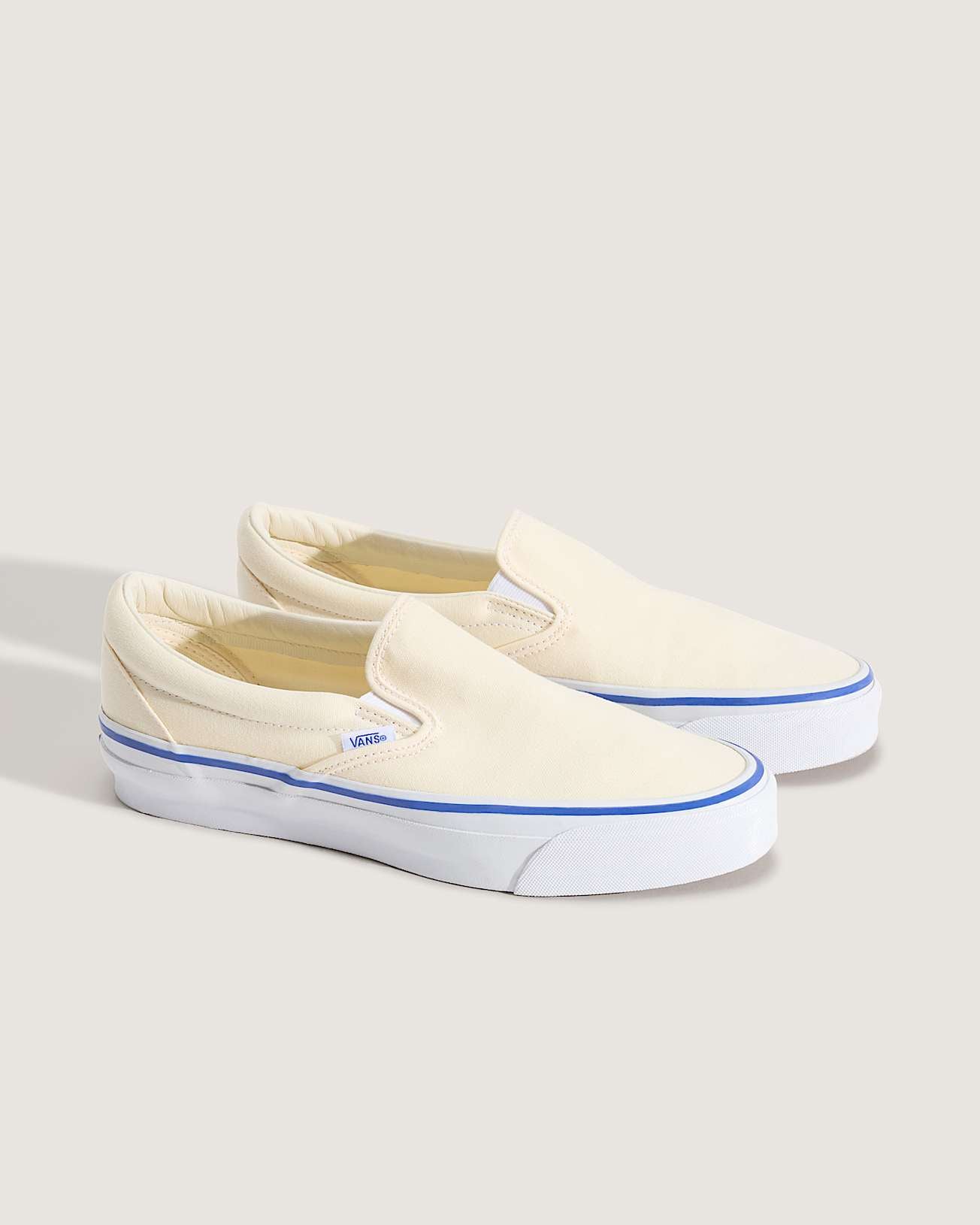 Vans Mens Skate Slip-On Shoes