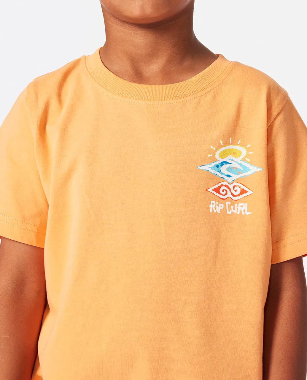 Rip Curl Icons Of Shred Tee Boys