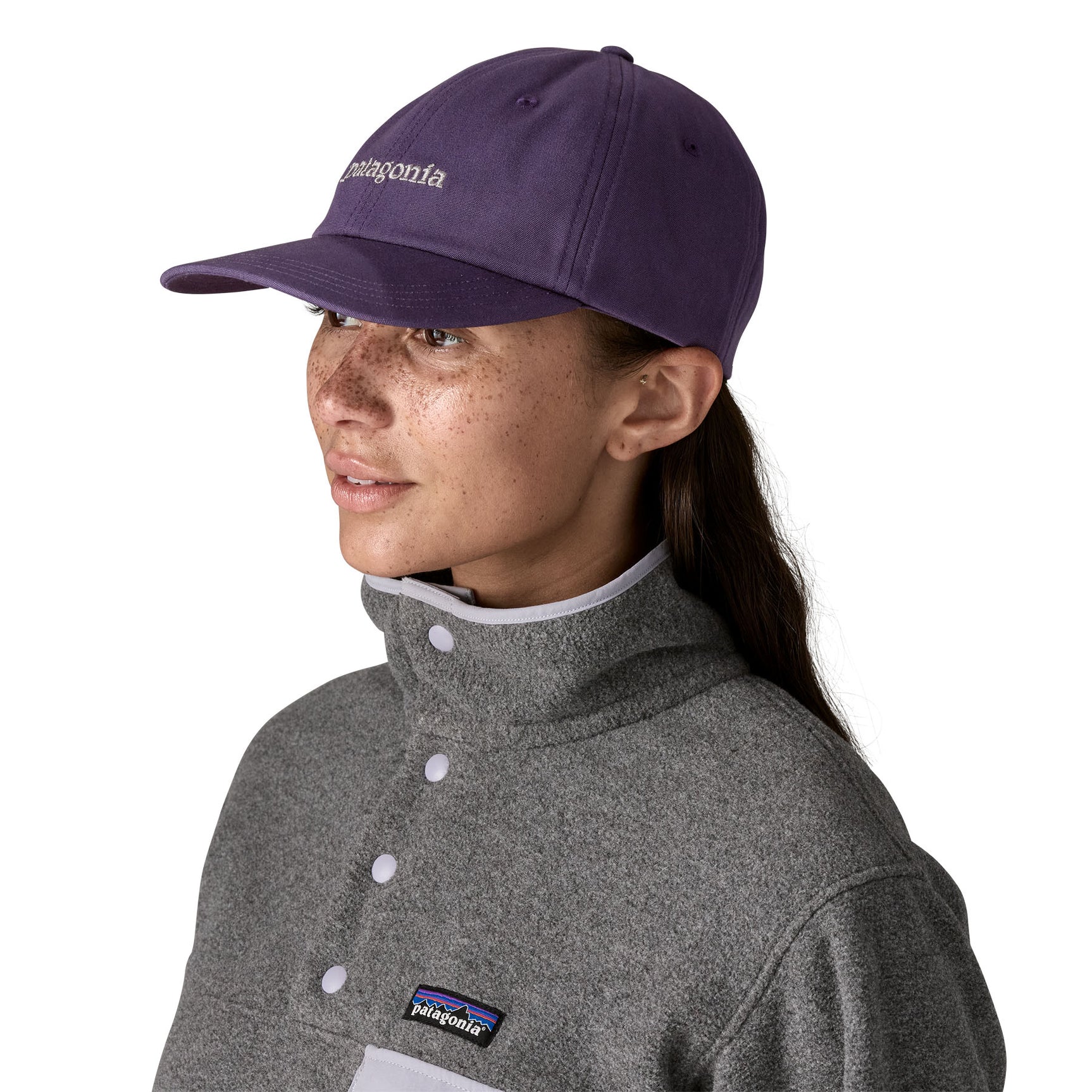 Patagonia Fitz Roy Icon Trad Cap