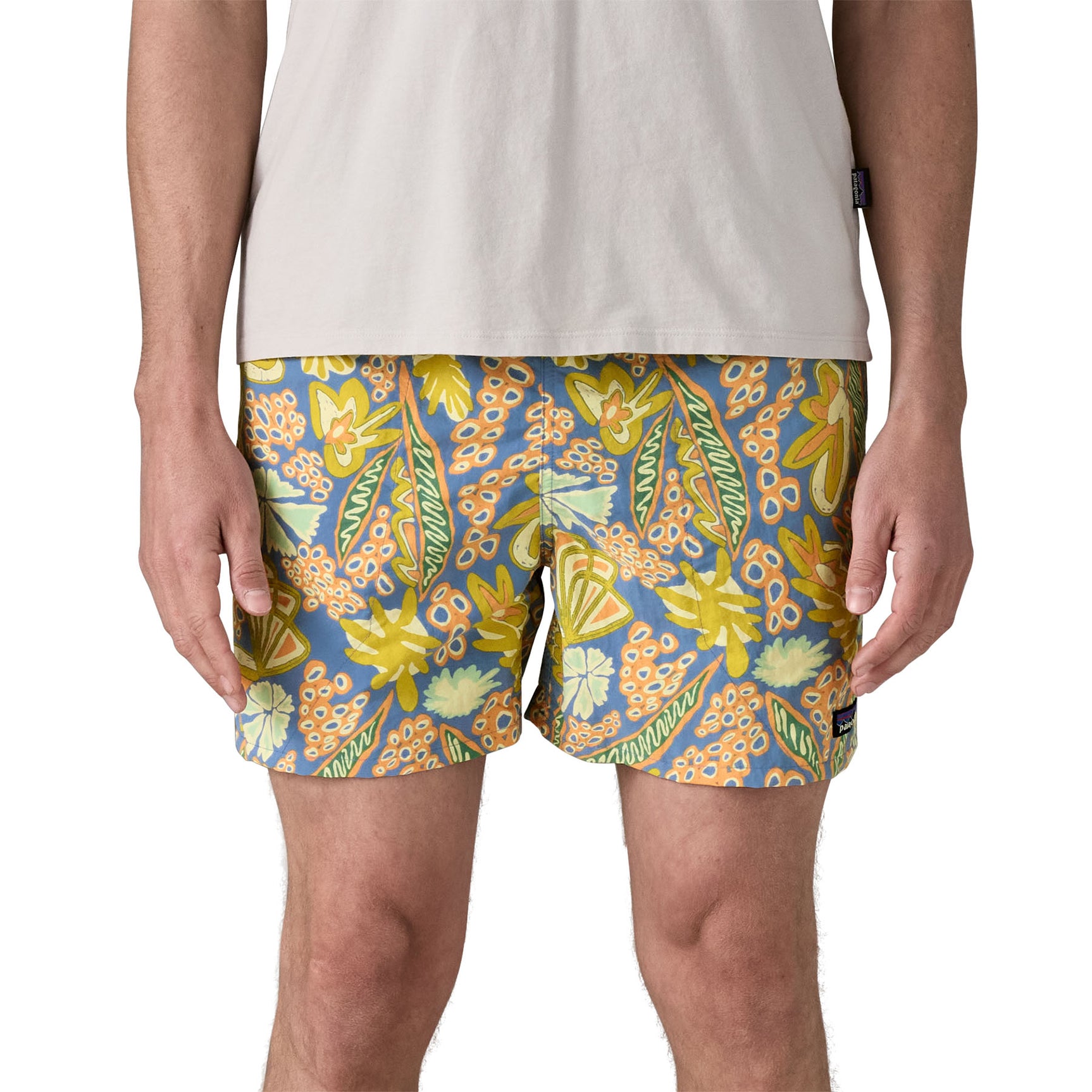 Patagonia M's Baggies Shorts - 5 in.