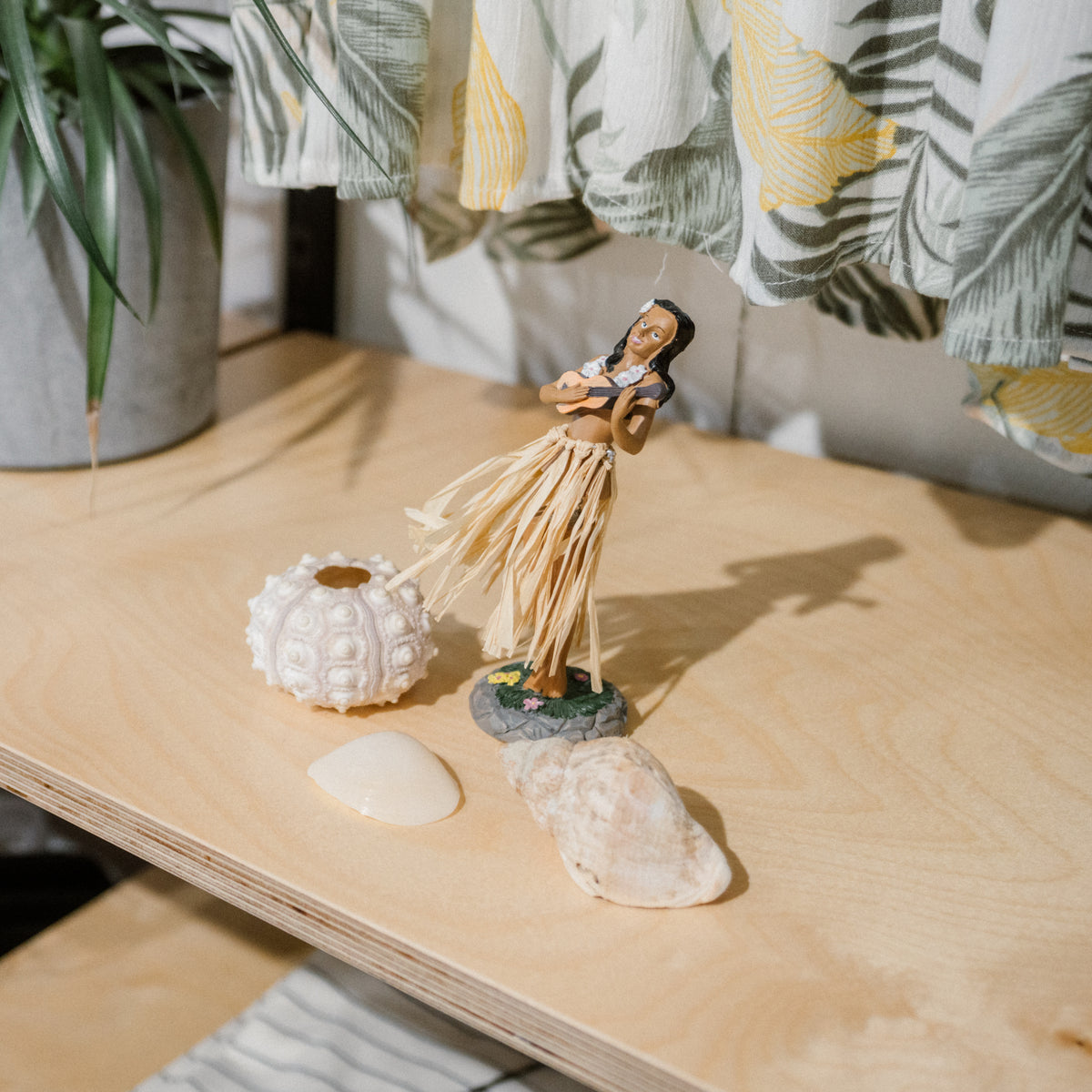 Surf-inspirierte Dekoration und accessoirs für zu Hause