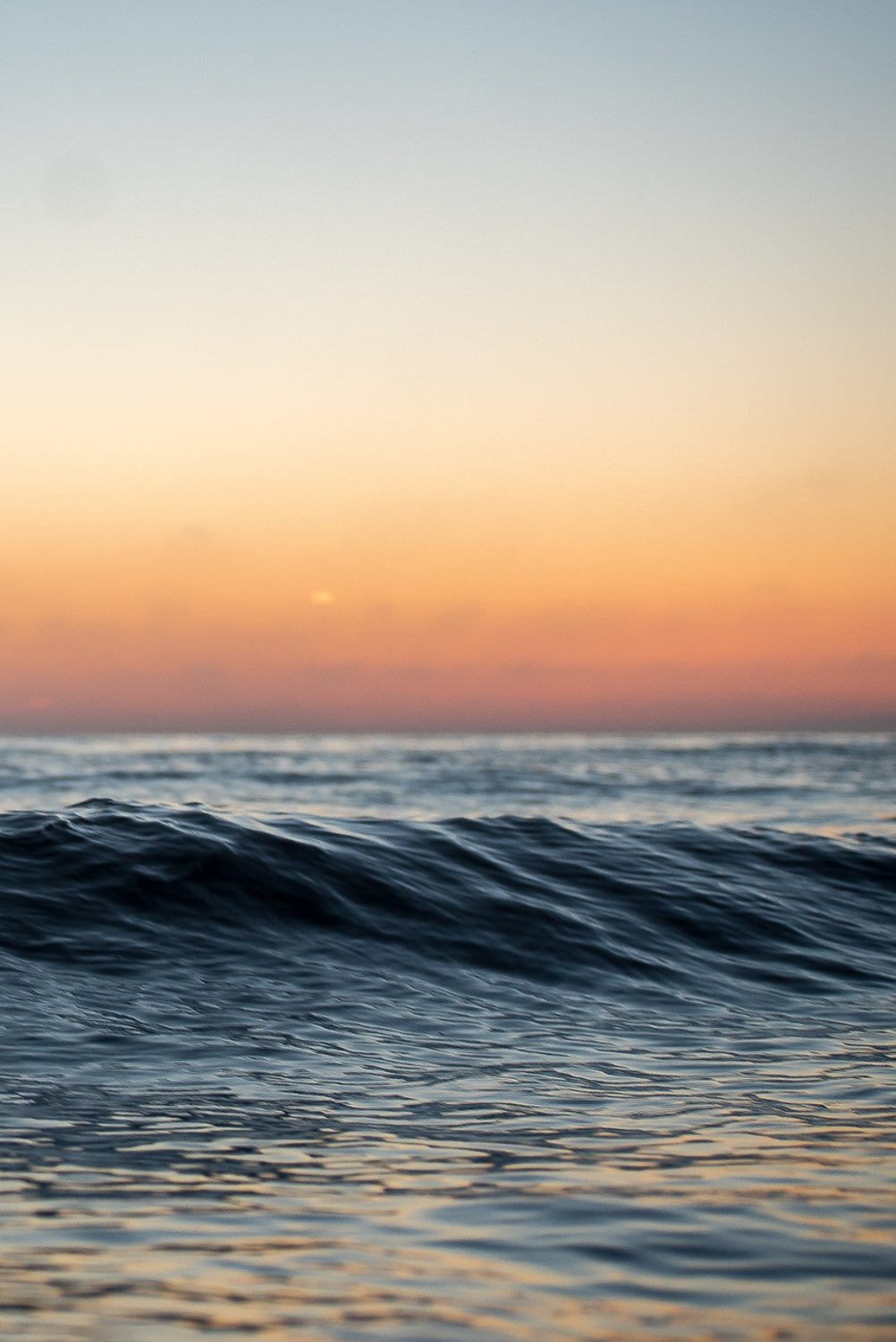 Favoritter & Bestsellers