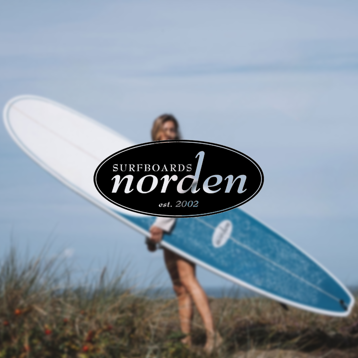 Norden Surf