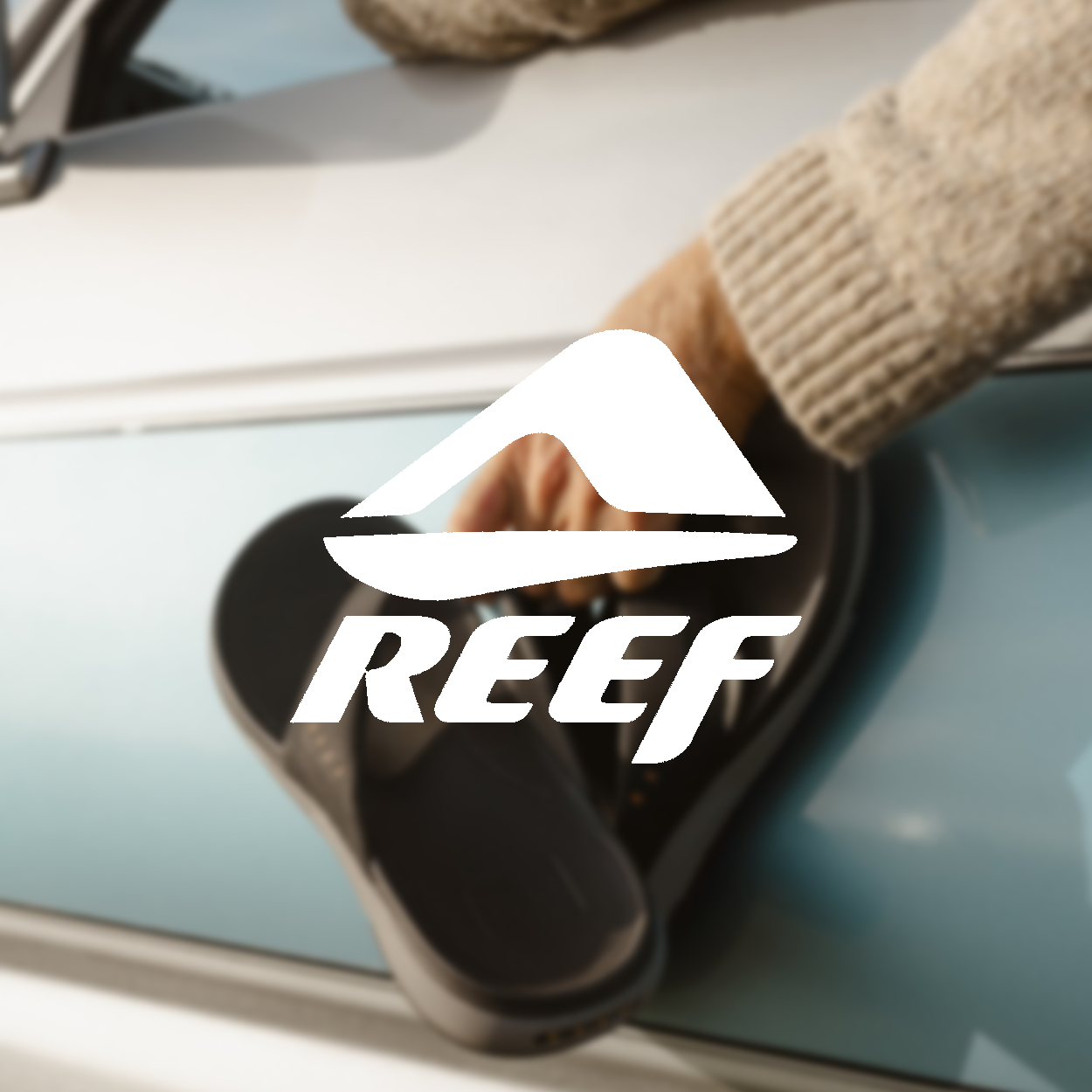 Reef