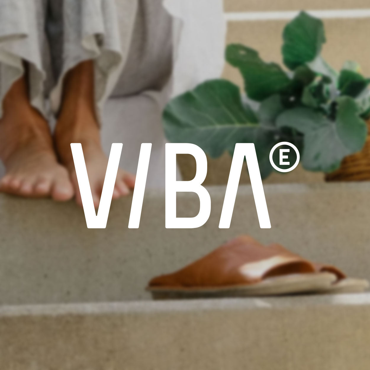 VIBAe