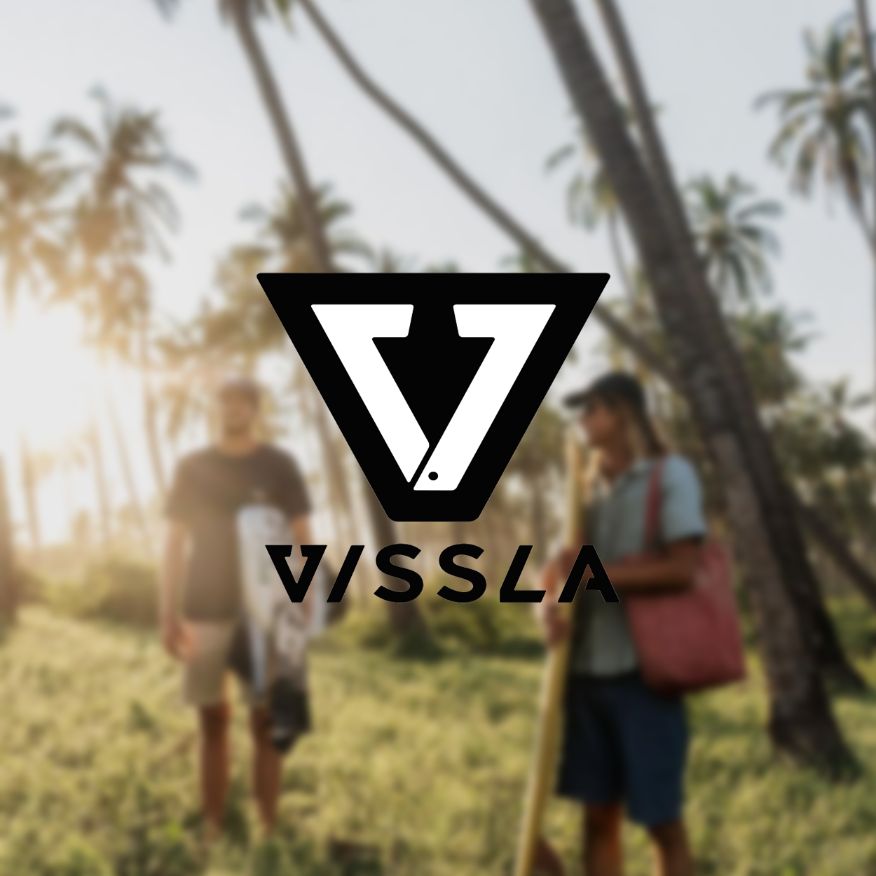 Vissla