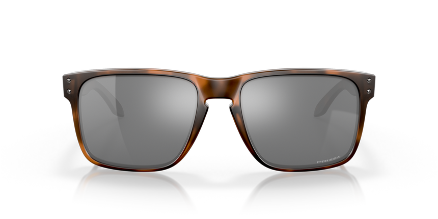 Oakley Holbrook XL