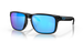 Oakley Holbrook XL