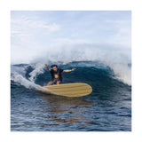 Surfboard TORQ TEC Delpero Classic