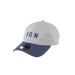 ION Cap Team