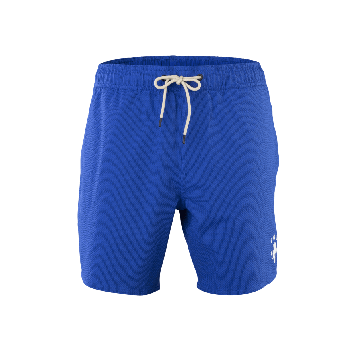 ION Boardshorts Slade 17" men