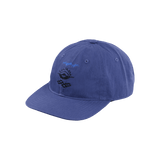 ION Cap Team
