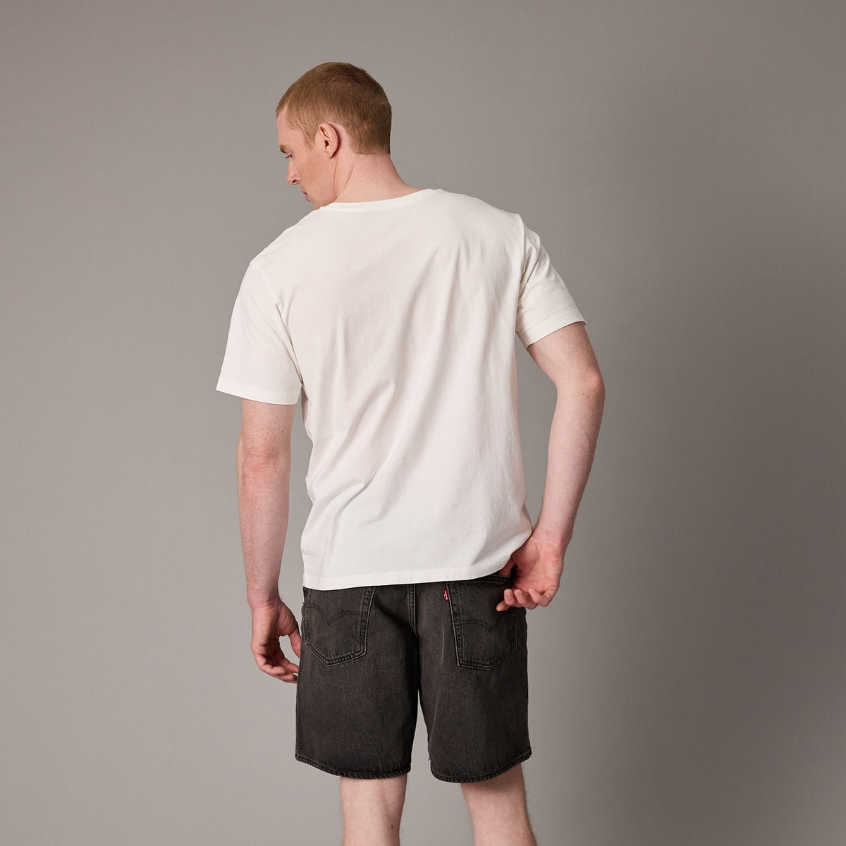ION Tee Ionic SS men