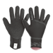 ION Neo Gloves 4/2mm