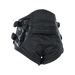 ION Echo