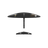 Duotone Wing Set Blitz D/LAB C99:random