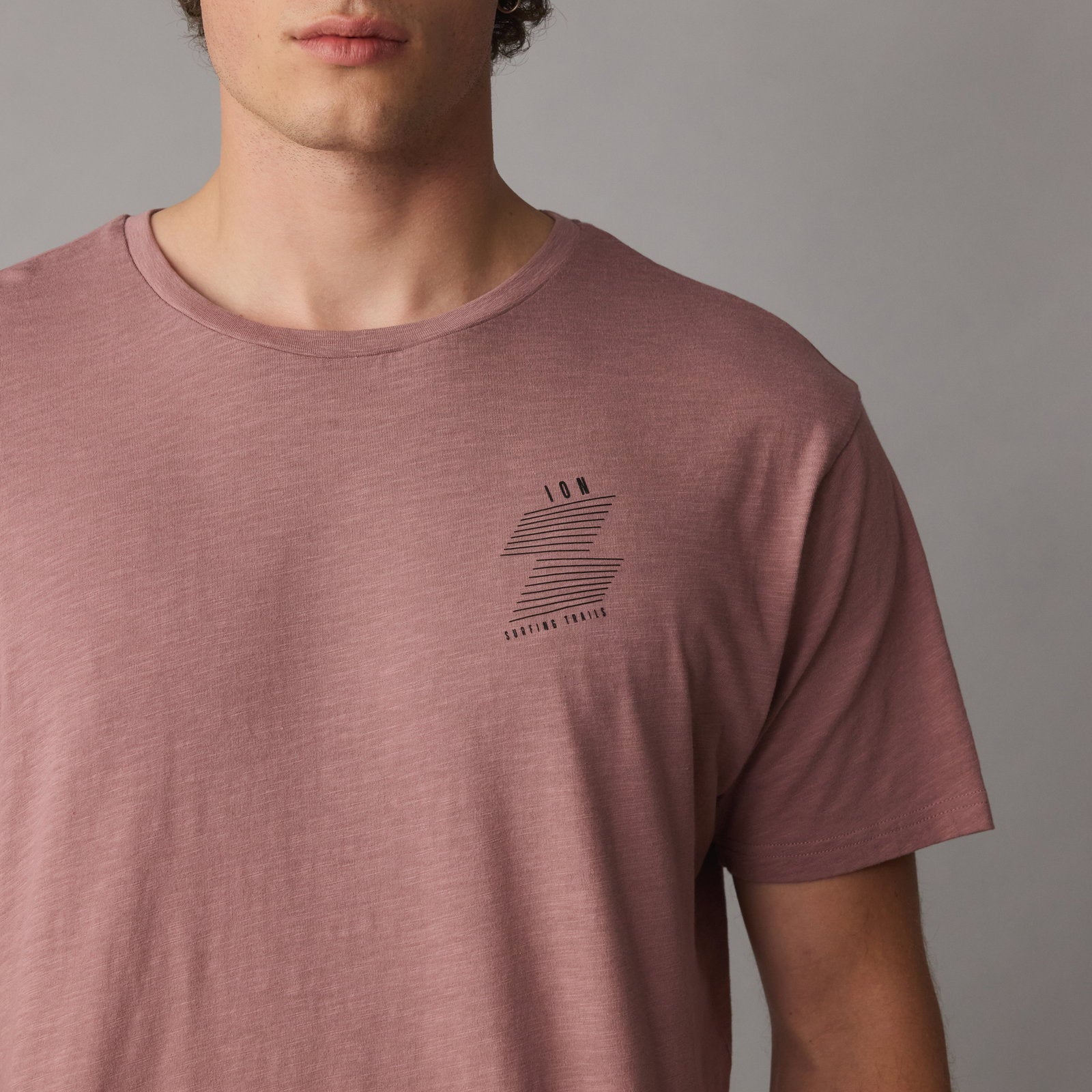 ION Tee Addicted SS Men