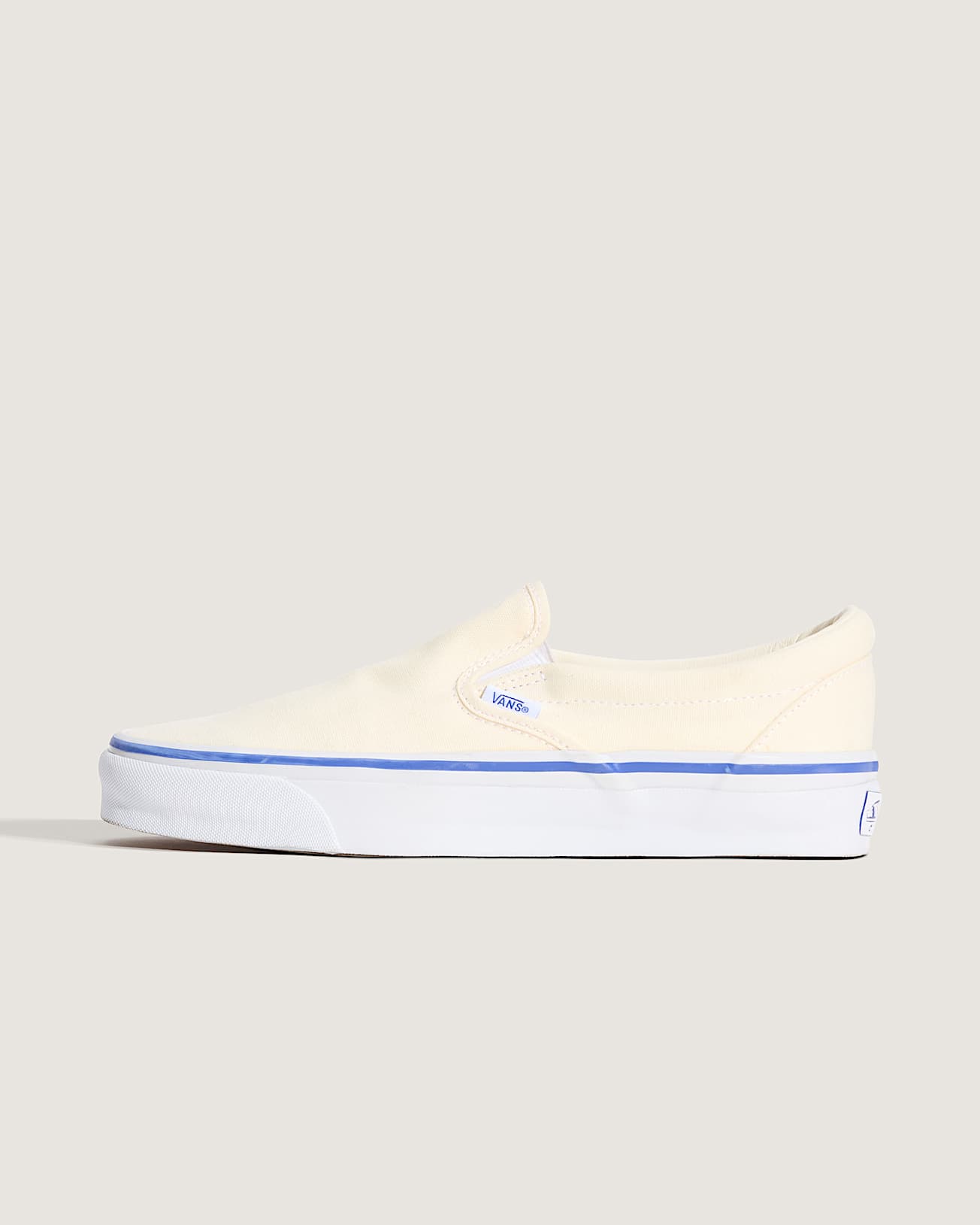 Vans Mens Skate Slip-On Shoes