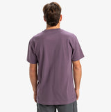 Quiksilver Ev Mini Logo