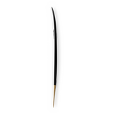 Firewire Seaside Helium