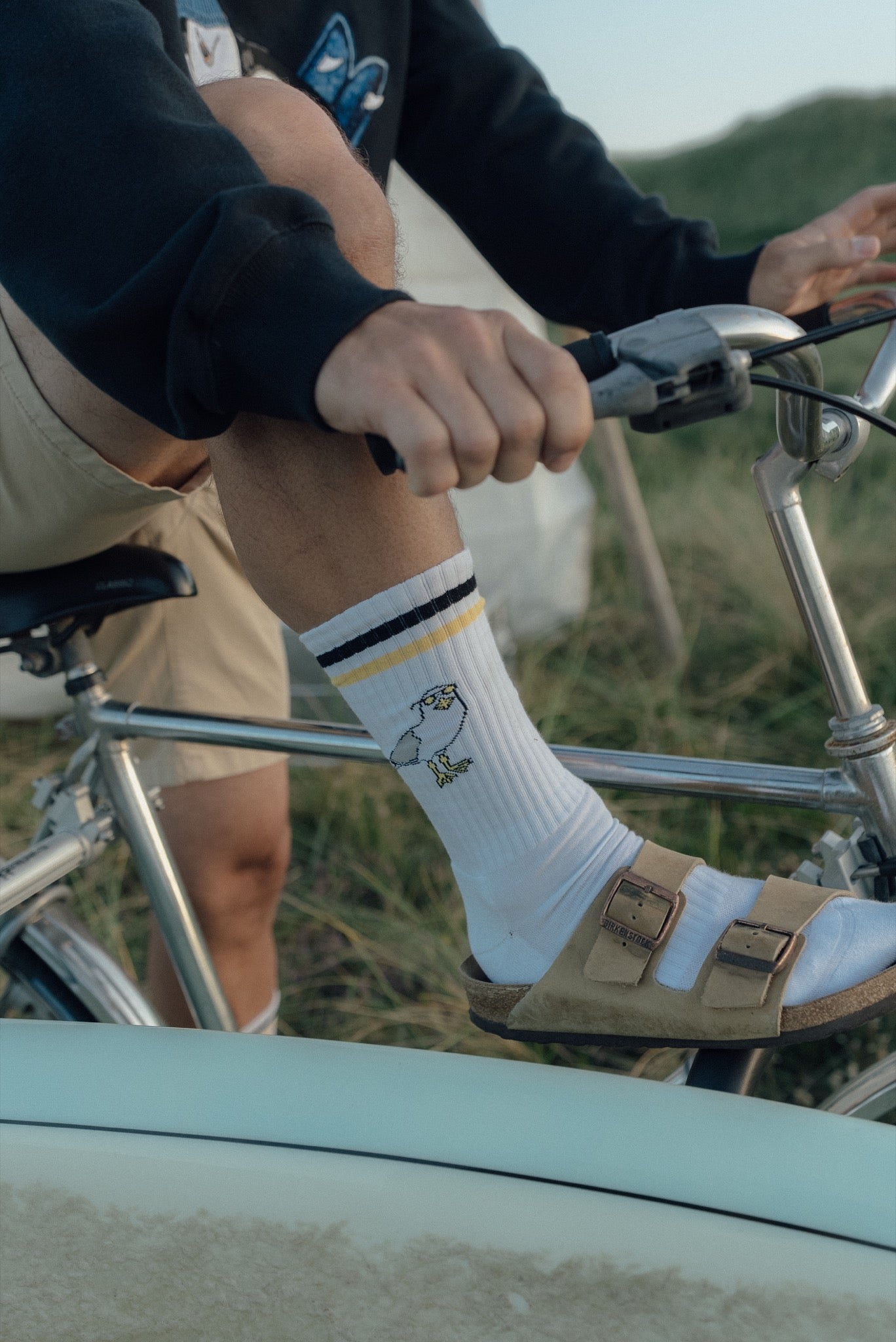 Seaborn Seagull Socks