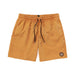 Volcom Center Trunk 17