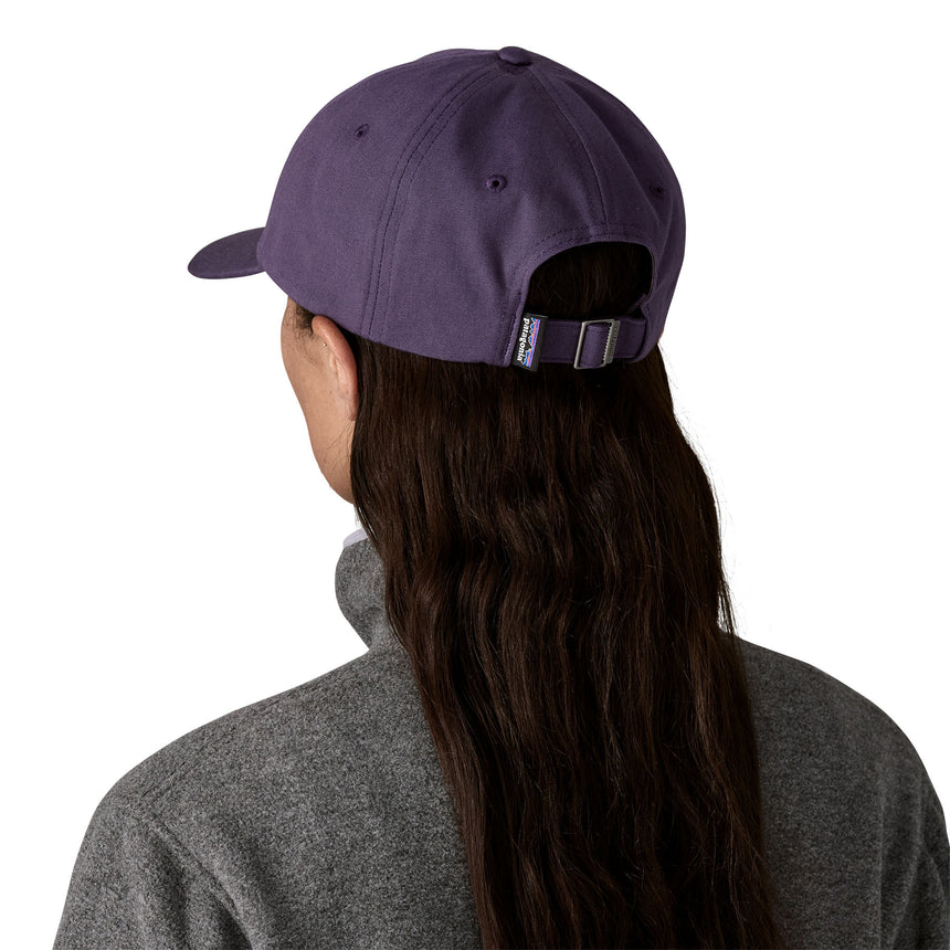 Patagonia Fitz Roy Icon Trad Cap
