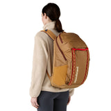 Patagonia Black Hole Pack 32L