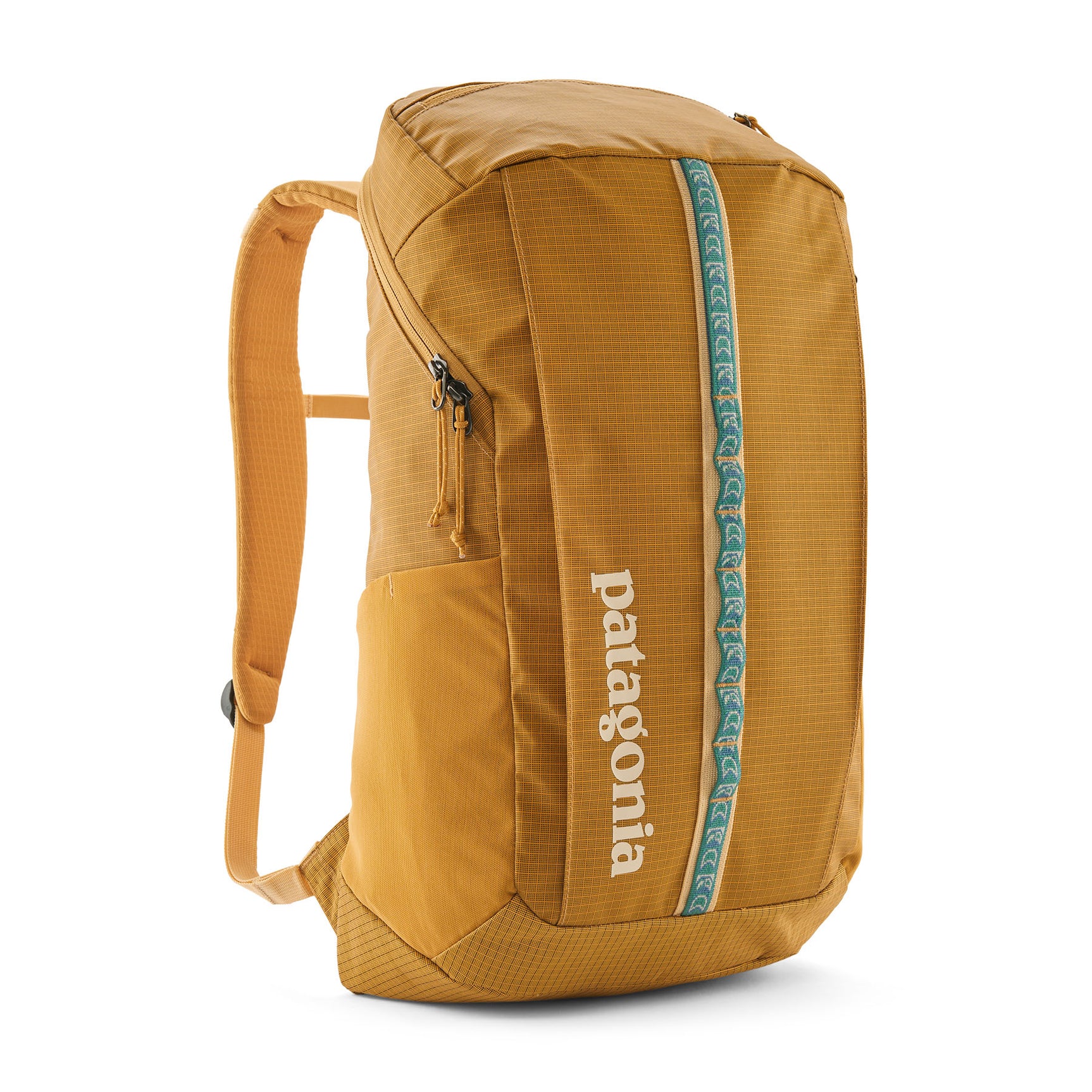 Patagonia Black Hole Pack 25L