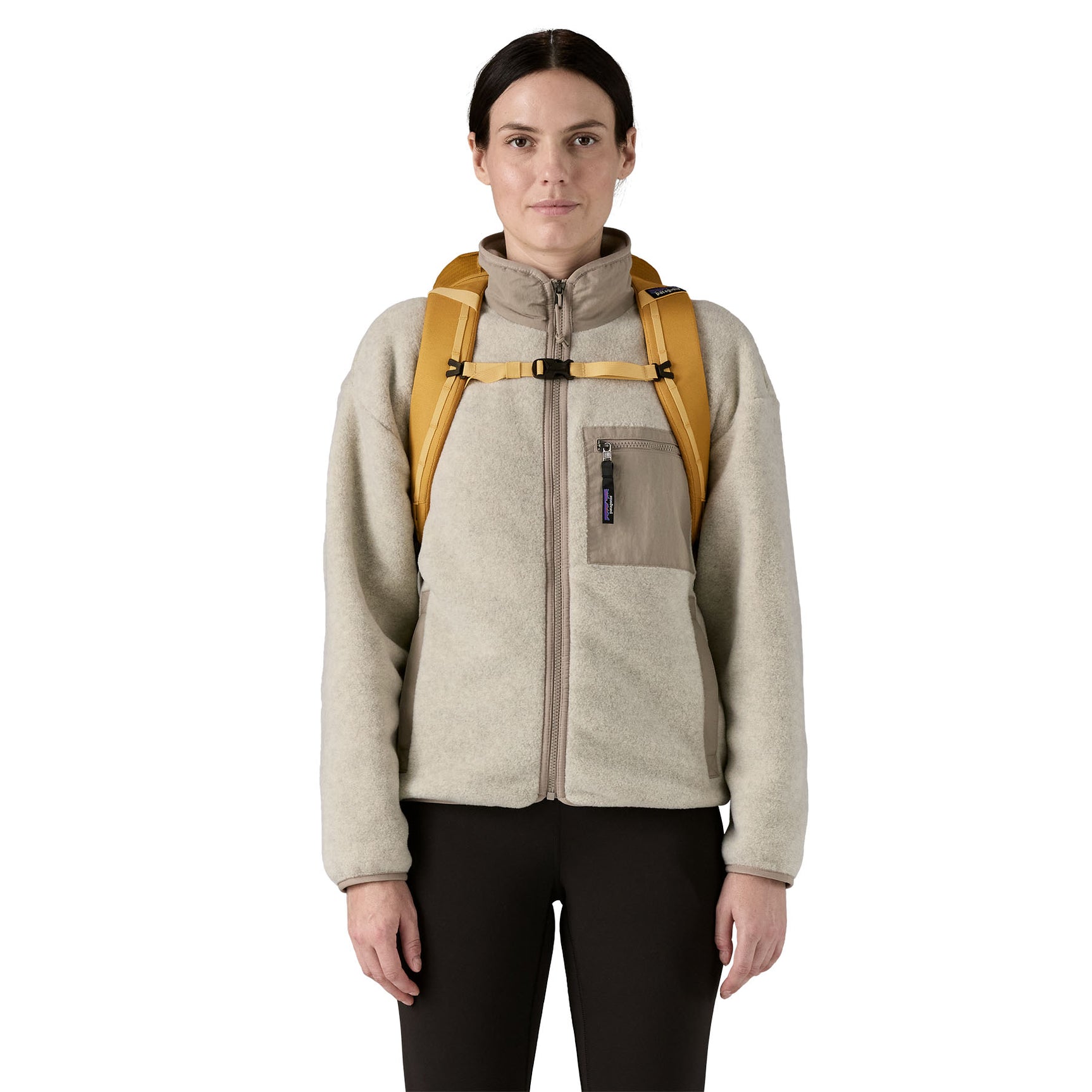 Patagonia Black Hole Pack 25L