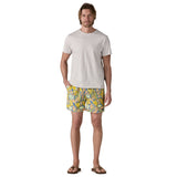 Patagonia M's Baggies Shorts - 5 in.