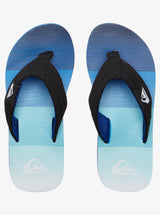 Quiksilver Molokai Layback Youth