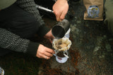 LAKOR Toxic Mushroom Enamel Mug
