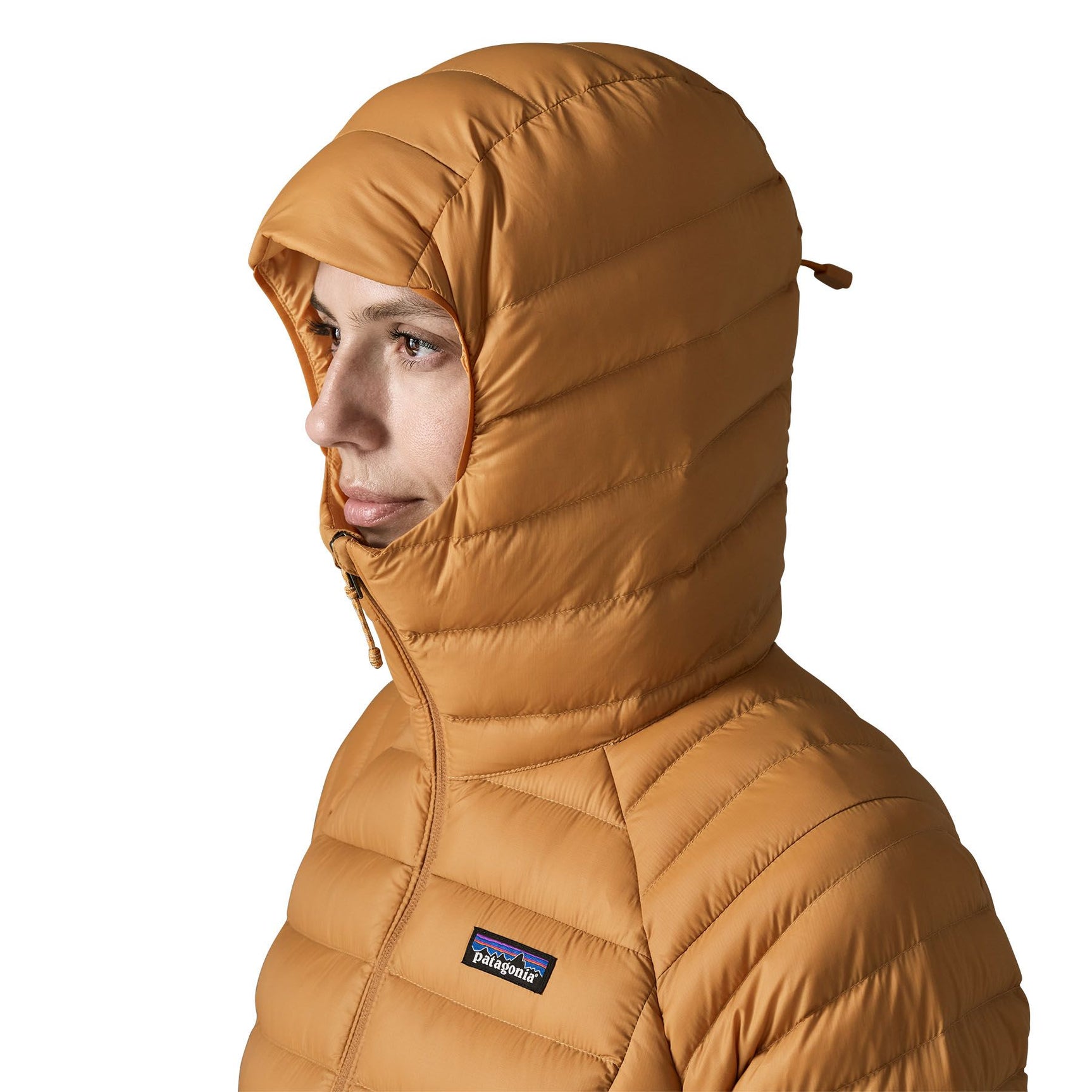 Patagonia W's Down Sweater Hoody